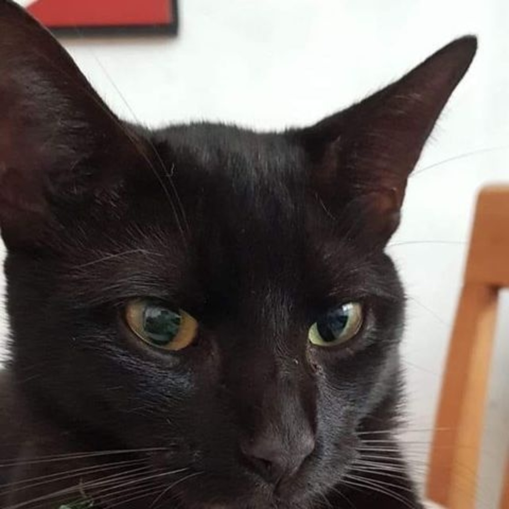 Meet your Posher, Deborah